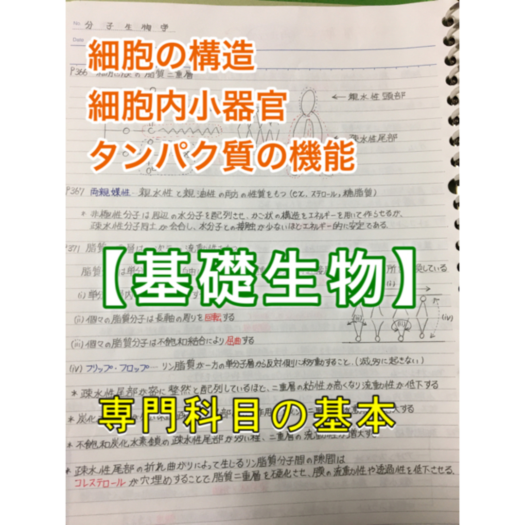 社会福祉士、介護福祉士国家試験、定期試験対策シリーズ【基礎生物