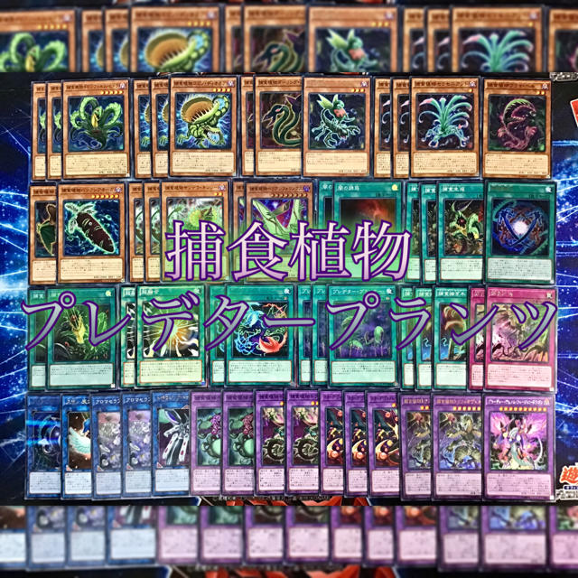 遊戯王 - 本格構築 【捕食植物】デッキ メイン＆EX15枚＆スリーブ