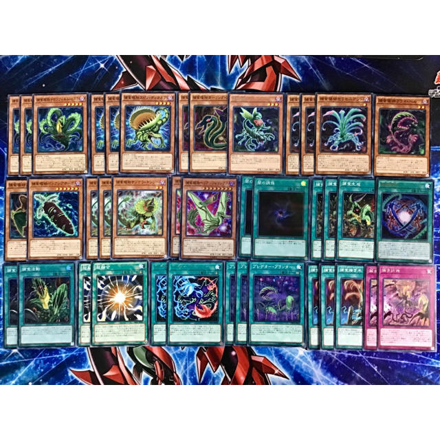 遊戯王 - 本格構築 【捕食植物】デッキ メイン＆EX15枚＆スリーブ