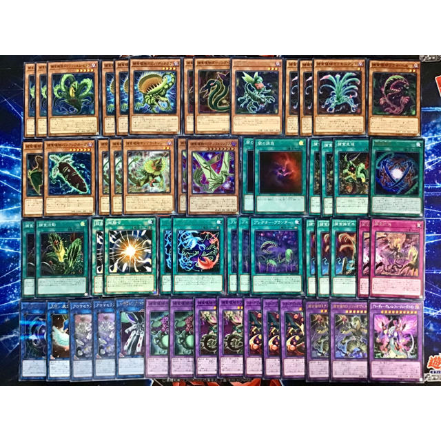 遊戯王 - 本格構築 【捕食植物】デッキ メイン＆EX15枚＆スリーブ