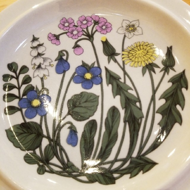 ARABIA - ARABIA フローラ Flora ディナープレート2枚セット 24cmの