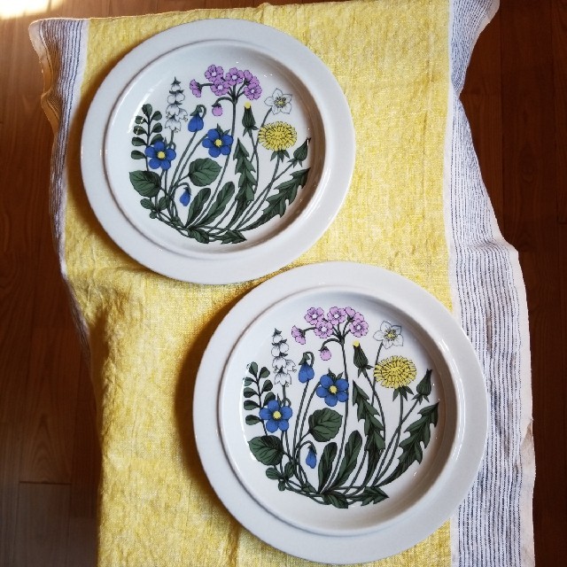 ARABIA - ARABIA フローラ Flora ディナープレート2枚セット 24cmの