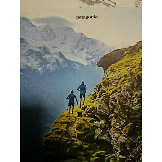 patagonia - パタゴニア カタログの通販 by でぶうさ6035's shop