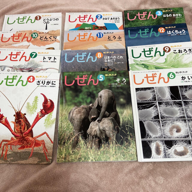 キンダーブック しぜん 12冊セットの通販 by momo's shop｜ラクマ