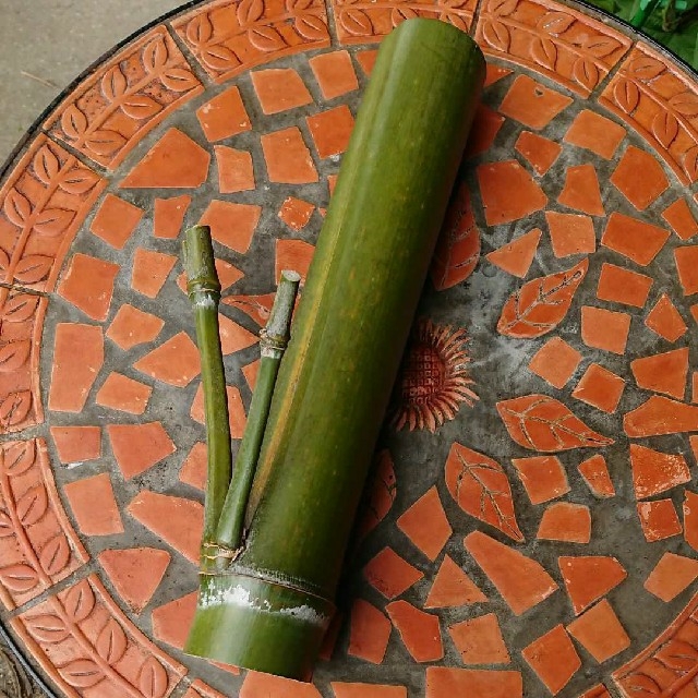 香川県産 (孟宗竹) 青竹！ 花器の通販 by 向日葵's shop｜ラクマ