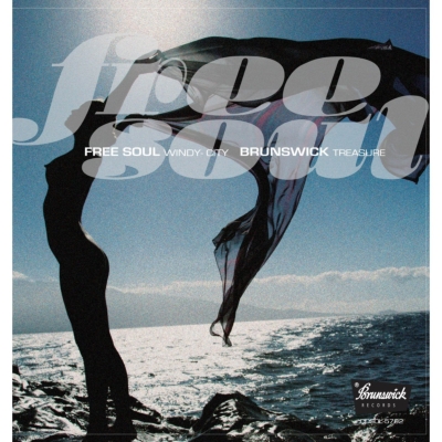 北欧 サバービアfree soulオルガンバーAORフリーソウル 18枚セット