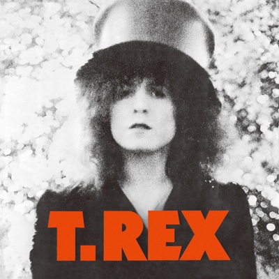 Slider 【完全生産限定盤／紙ジャケット仕様】 : T. Rex | HMV&BOOKS