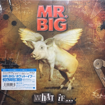 中古:盤質AB】 What If(2枚組アナログレコード) : MR.BIG