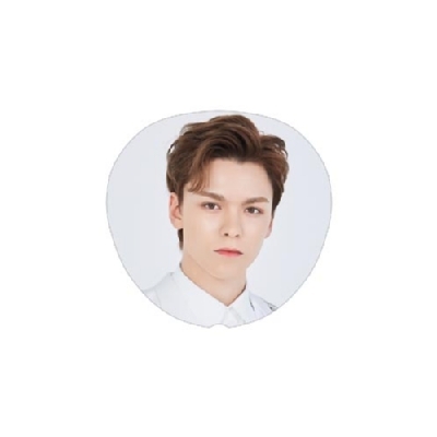 うちわ(VERNON)/ SEVENTEEN 2020 JAPAN DOME TOUR ＜SVT＞ : SEVENTEEN