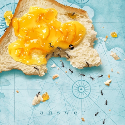 answer 【初回生産限定】(+DVD) : おいしくるメロンパン | HMV&BOOKS