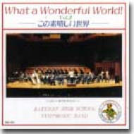What Wonderful World 2洛南高等学校吹奏楽部 | HMV&BOOKS online