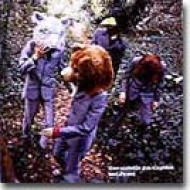 7 inch vinyl box : THEE MICHELLE GUN ELEPHANT | HMV&BOOKS online