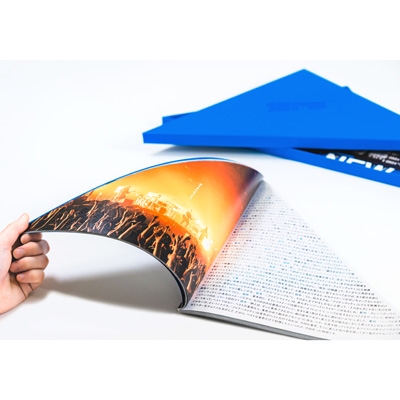 SAKANAQUARIUM 2024 ”turn” 【完全生産限定盤DVD】(2DVD