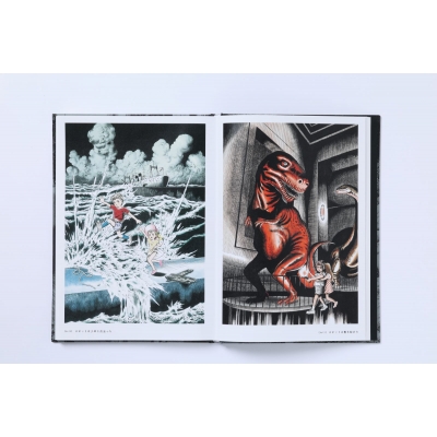 ZOKU-SHINGO COMPLETE BOX ビッグコミックスピリッツ : 楳図かずお