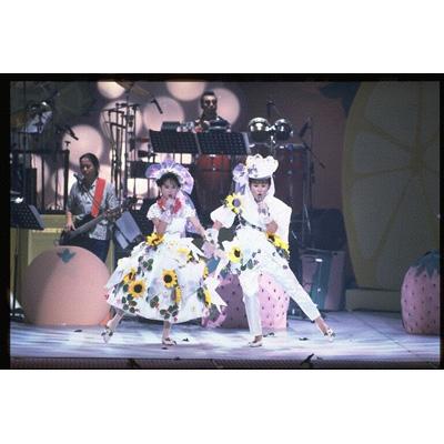 フジテレビ50周年記念 やまだかつてないDVD | HMV&BOOKS online - PCBC