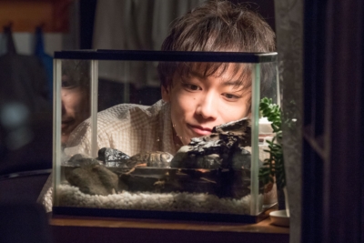 連続テレビ小説 半分、青い。 完全版 ブルーレイ BOX1 : NHK連続テレビ