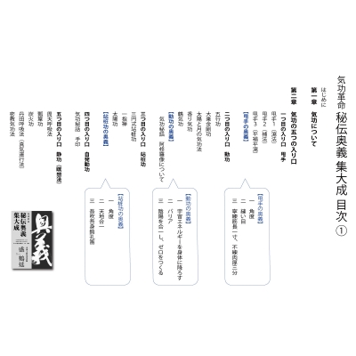 気功革命 秘伝奥義集大成 : 盛鶴延 | HMV&BOOKS online - 9784991014802