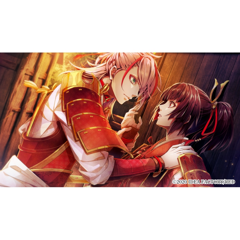 ビルシャナ戦姫 ～源平飛花夢想～通常版 : Game Soft (Nintendo Switch