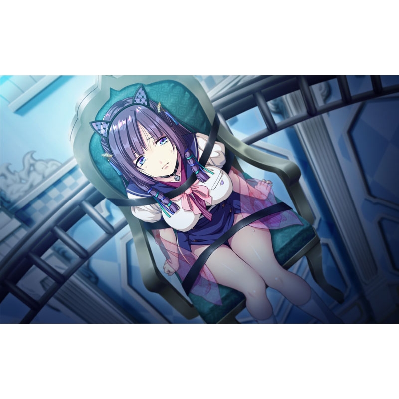 Nintendo Switch】幻想牢獄のカレイドスコープ 2 : Game Soft