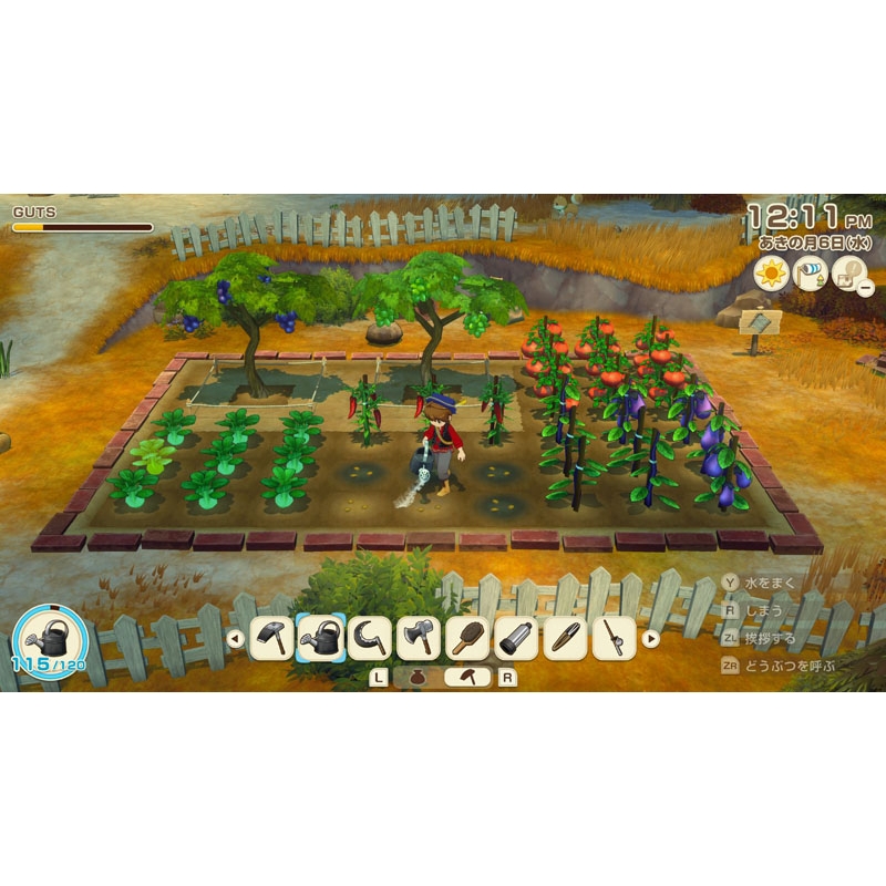 牧場物語 Let's！風のグランドバザール Nintendo Switch 2 Edition