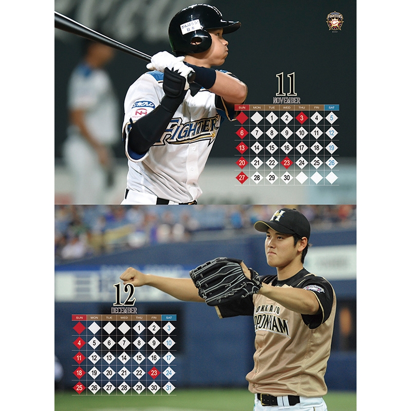 大谷翔平(北海道日本ハムファイターズ)2016年カレンダー : 北海道日本