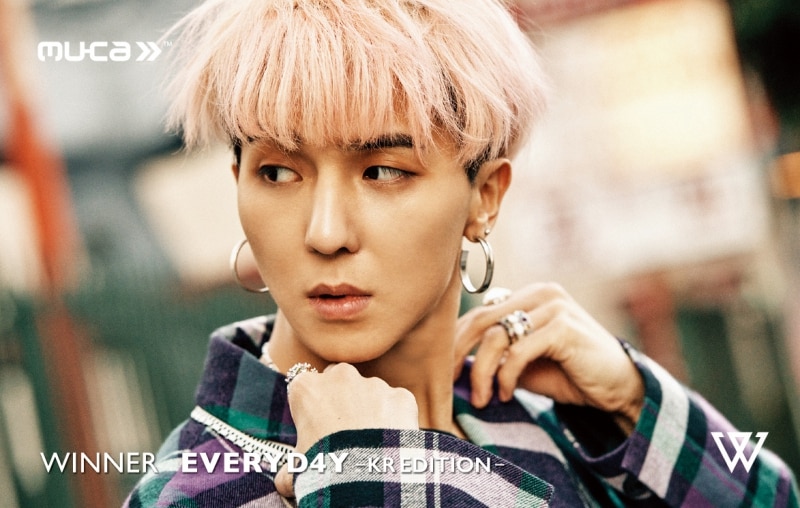 DISC | WINNER OFFICIAL WEBSITE