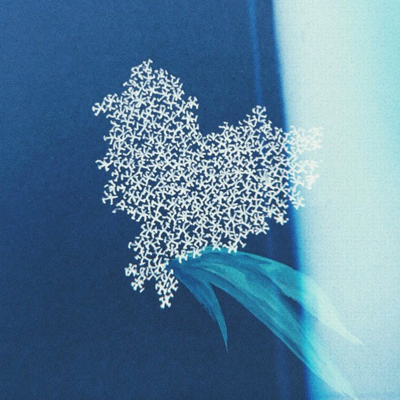 大塚愛 ヒカリ 直筆サイン入り CD 【公式通販】