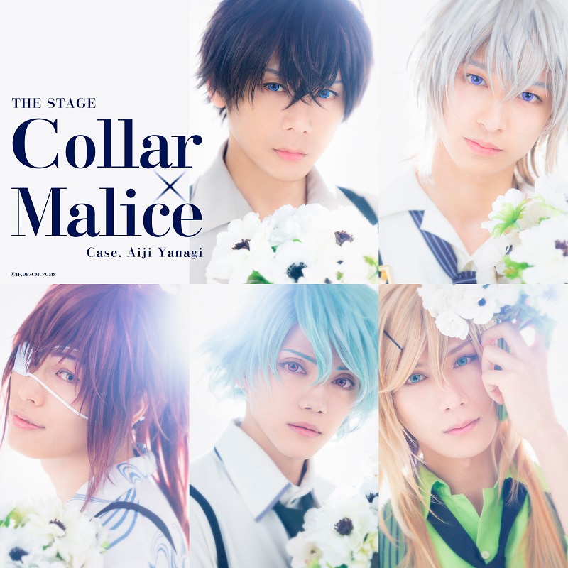 舞台『Collar×Malice -柳愛時編-』】舞台カラマリ初!!平日限定アフター