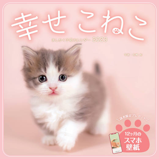 ましかく子猫カレンダー 幸せこねこ - インプレスブックス