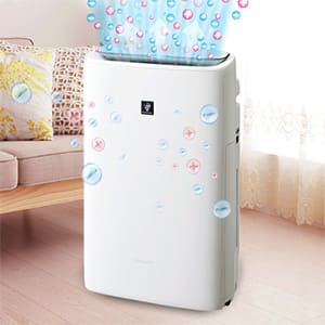 空気清浄機 SHARPのおすすめ人気商品一覧｜通販 【ジャパネット公式】