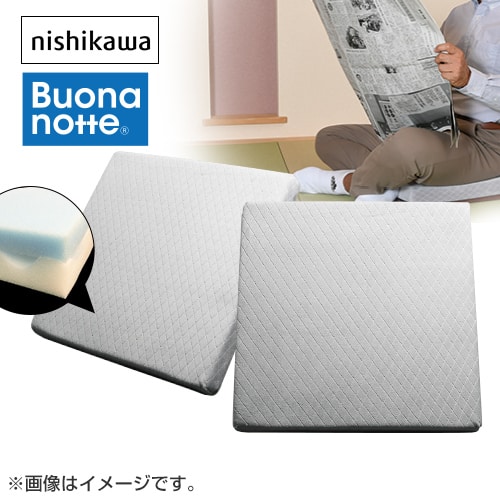 西川 インテリア ボナノッテシートクッション2個セット グレー BU16221