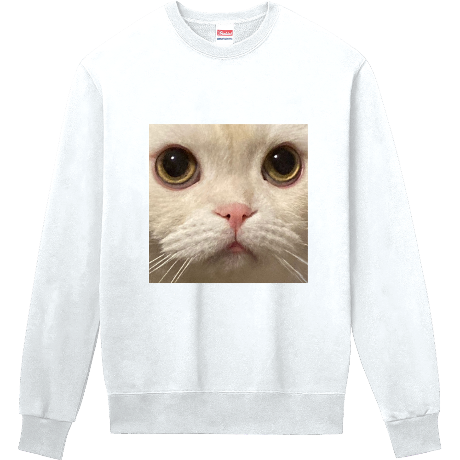 スコティッシュフォールド定番スウェットの商品購入ページ