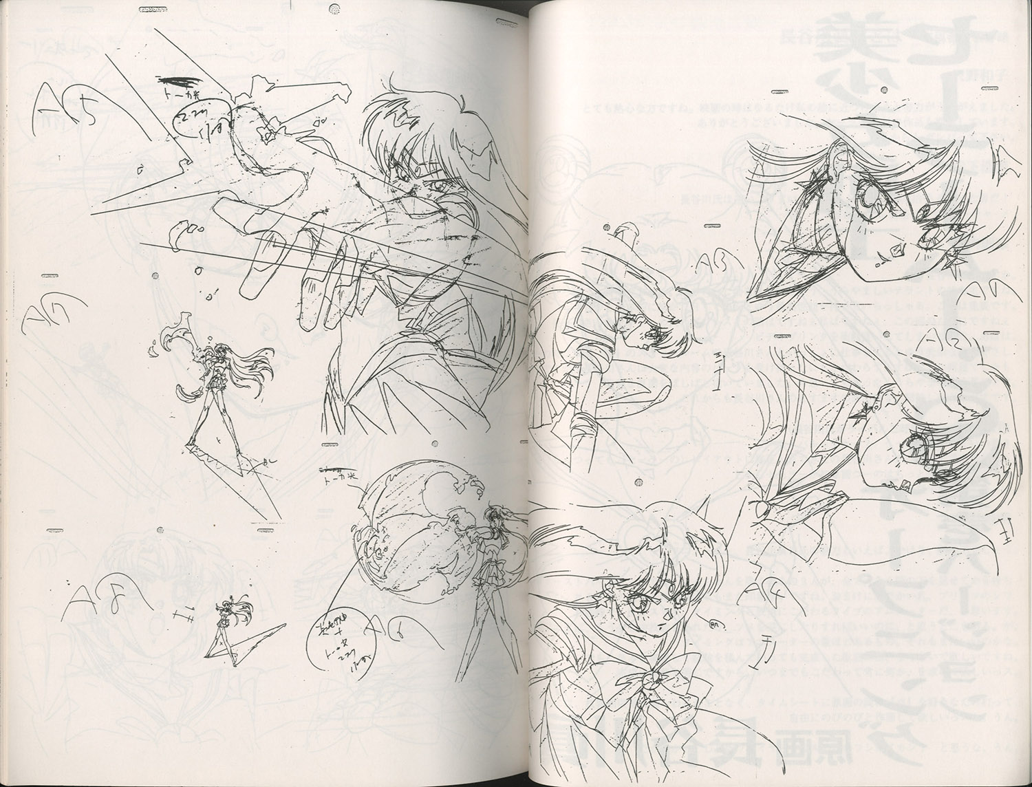 ハッピー興行新社/さらばセーラームーン 愛と正義の美少女戦士たち 激