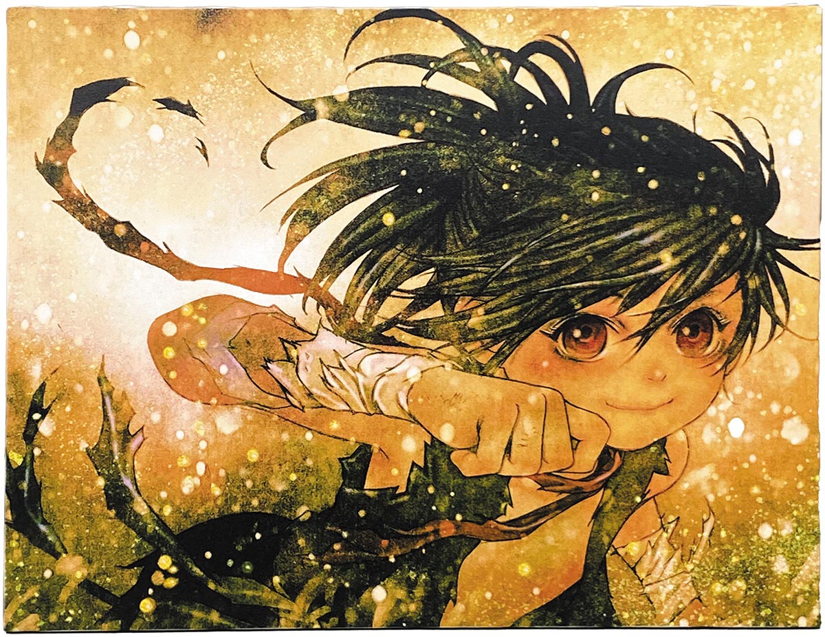 2652］ 浅田弘幸 キャンバスアート「どろろ」