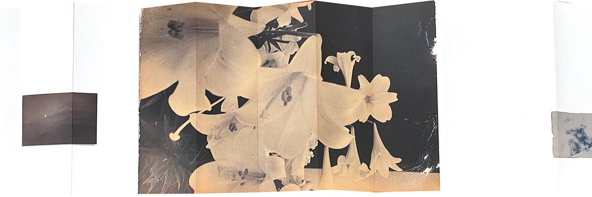 7001］ 山本昌男 masao yamamoto 直筆サイン本「omizuao オオミズアオ」