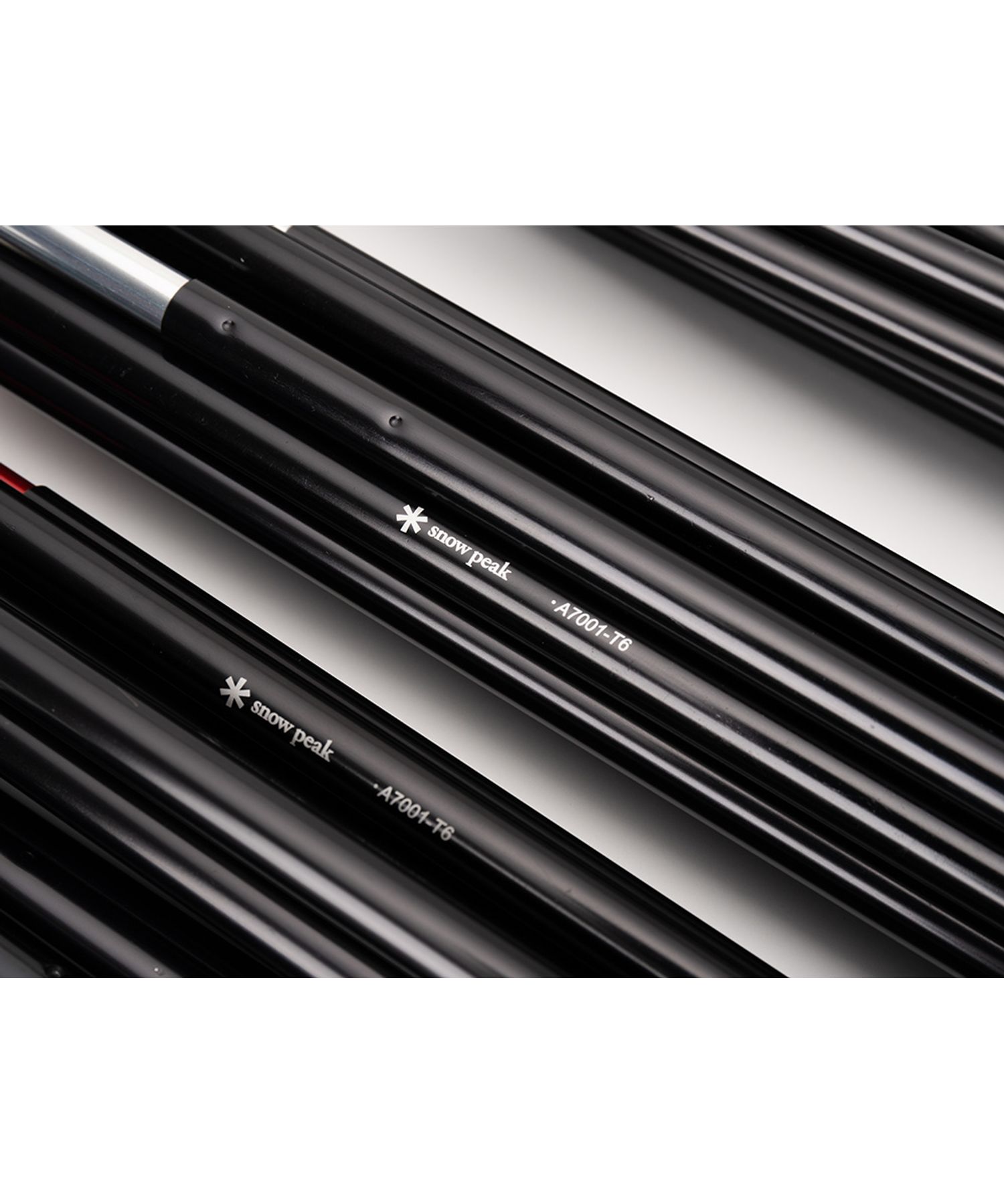 ポイントギフト】ドックドーム Pro.6 ブラックフレームセット