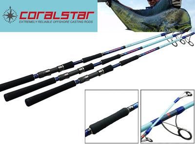 PALMS] 2010 New CORALSTAR ニューコーラルスター・ドルフィンクラス