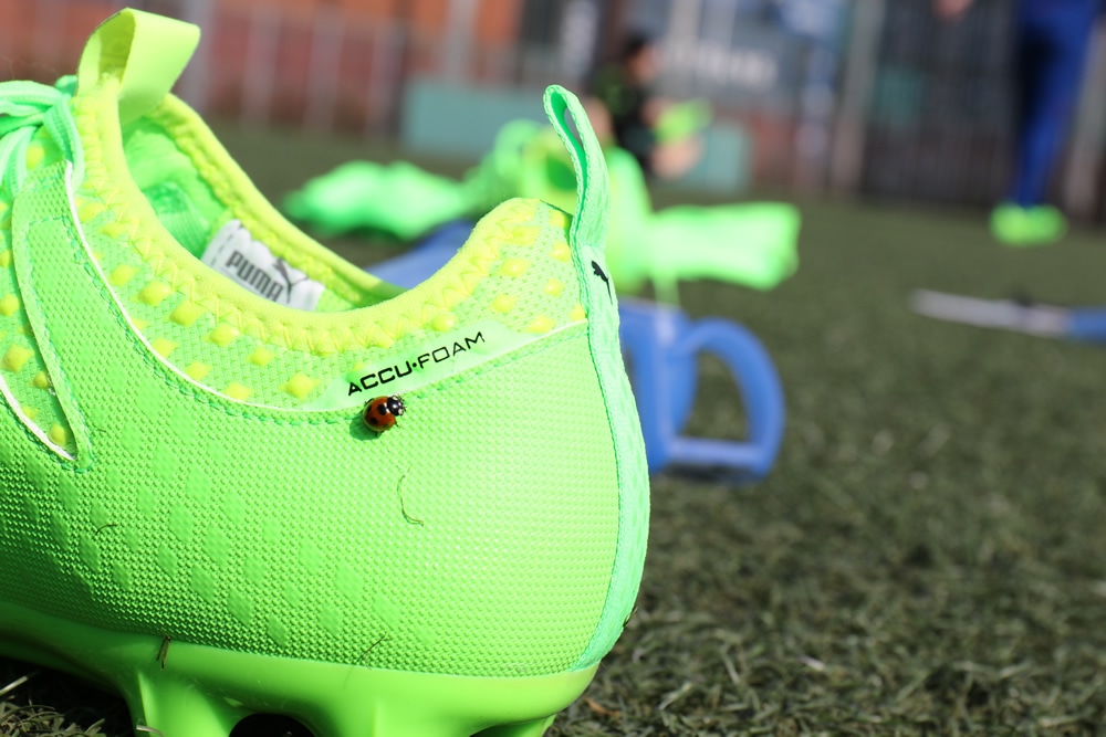 REVIEW｜evoPOWER VIGOR 1 HG｜サッカーショップKAMO