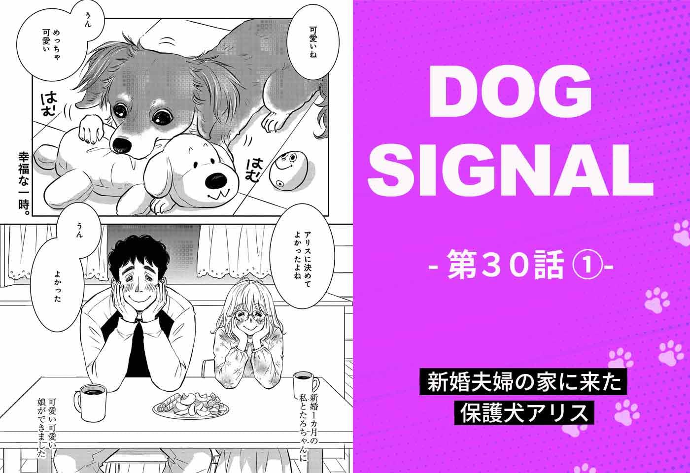 1〜3話無料試し読み】『DOG SIGNAL（ドッグシグナル）』全巻各話