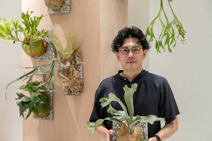 スタイルのある存在感を楽しむビカクシダが映える着生板、“蛇籠”を