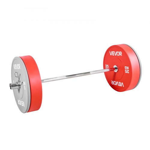 VEVOR 4FT Barbell Bar, Fits 2-Inch Weight Plates, Chrome Plated