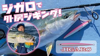 JIGARO / ジガロ ｜ PALMS ｜ 株式会社パームス