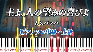 ピアノ楽譜】主よ、人の望みの喜びよ (ソロ 中上級) / バッハ - 楽譜