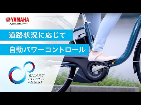 電動アシスト自転車 PAS with パス ウィズ マットスモーキーブルー
