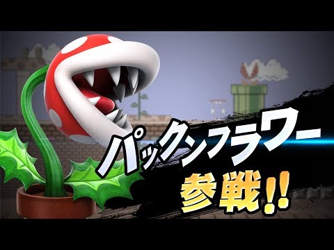 大乱闘スマッシュブラザーズ SPECIAL」の早期購入特典は“ファイター”の