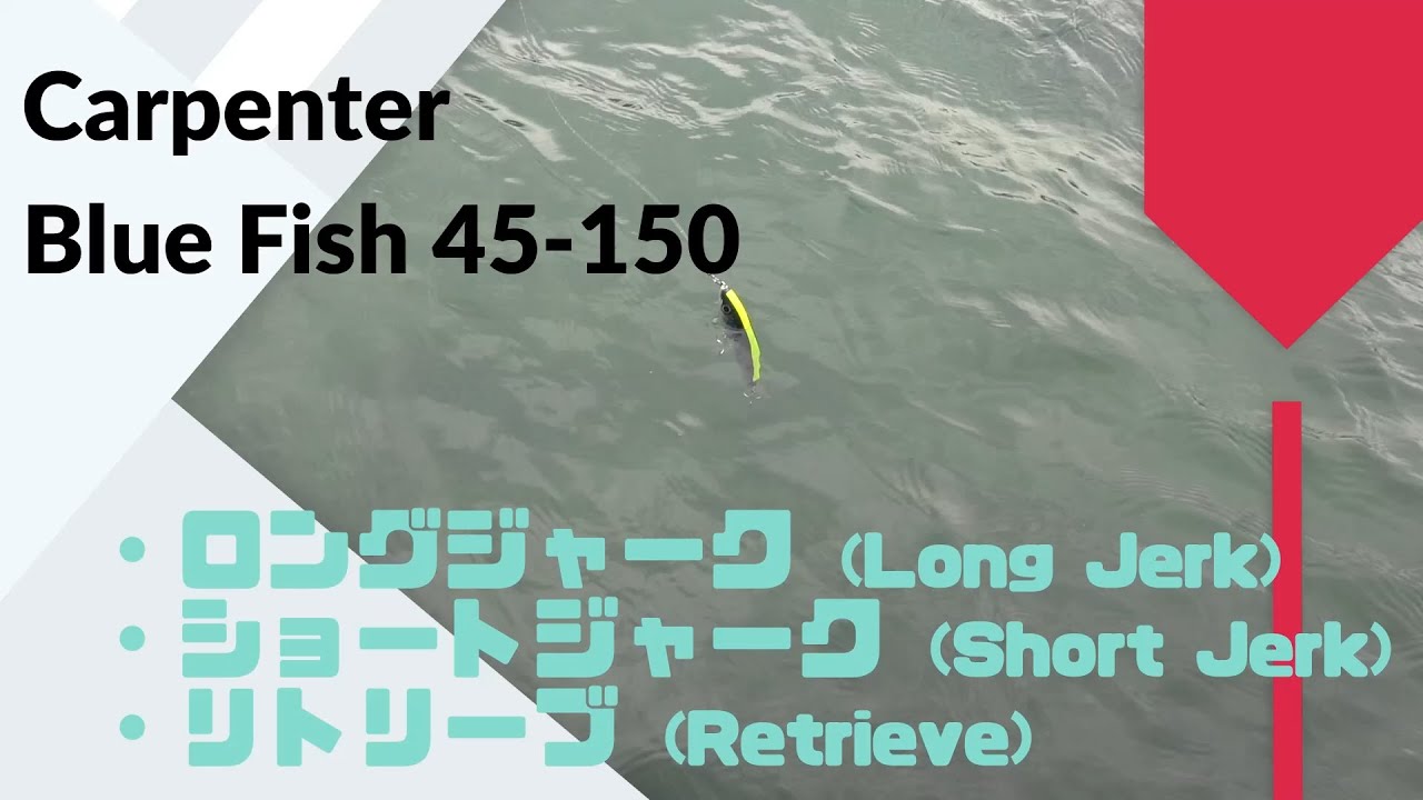 Carpenter(カーペンター) BlueFish(ブルーフィッシュ) 45-150 使用