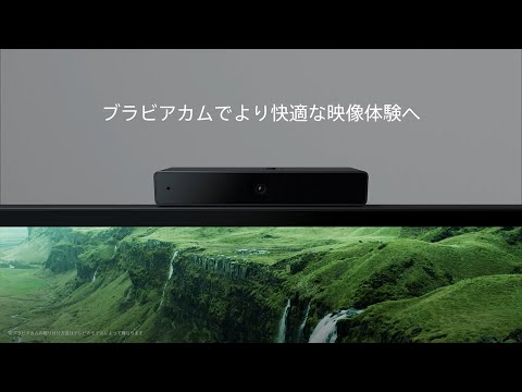 ブラビア専用外付けカメラ BRAVIA CAM CMU-BC1 SONY｜ソニー 通販