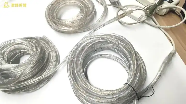 OEMLEDロープライトメーカーとサプライヤー|ウェンダデコ