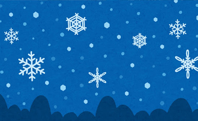 ISR 意外と大胆「シャルロット・デュノア」(サイン入り) 買取 | IS