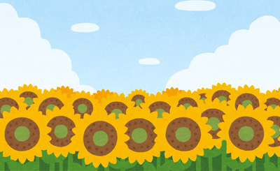 SP ちょっぴり挙動不審「白鹿 愛莉」(サイン入り) 販売 | 天色＊アイル